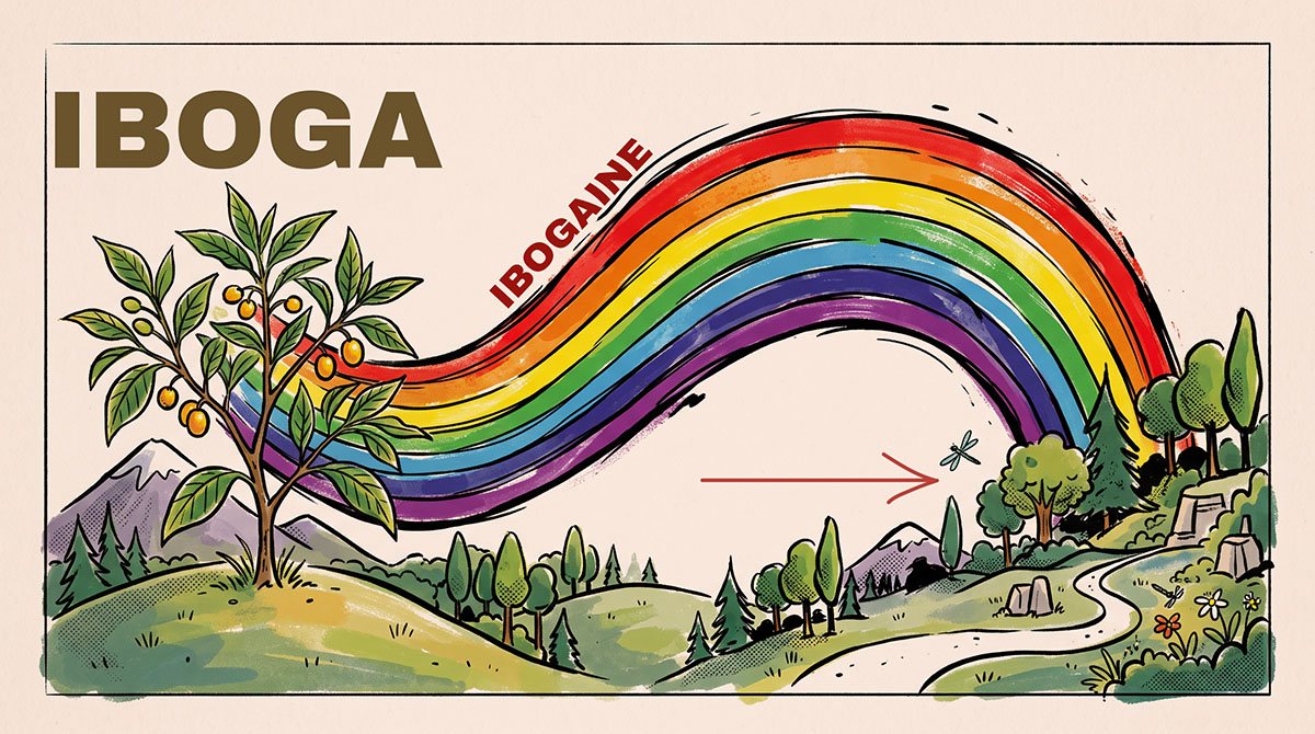 Thumbnail for a conversation with Troy Valencia about the difference between iboga and ibogaine.